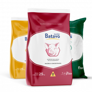 Batavo Milk Performa 18T Teste 2
